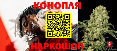 мдпв Нальчик
