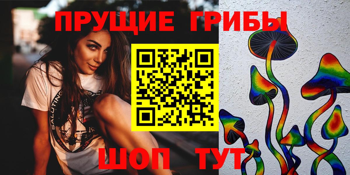 Галлюциногенные грибы Psilocybe Энгельс