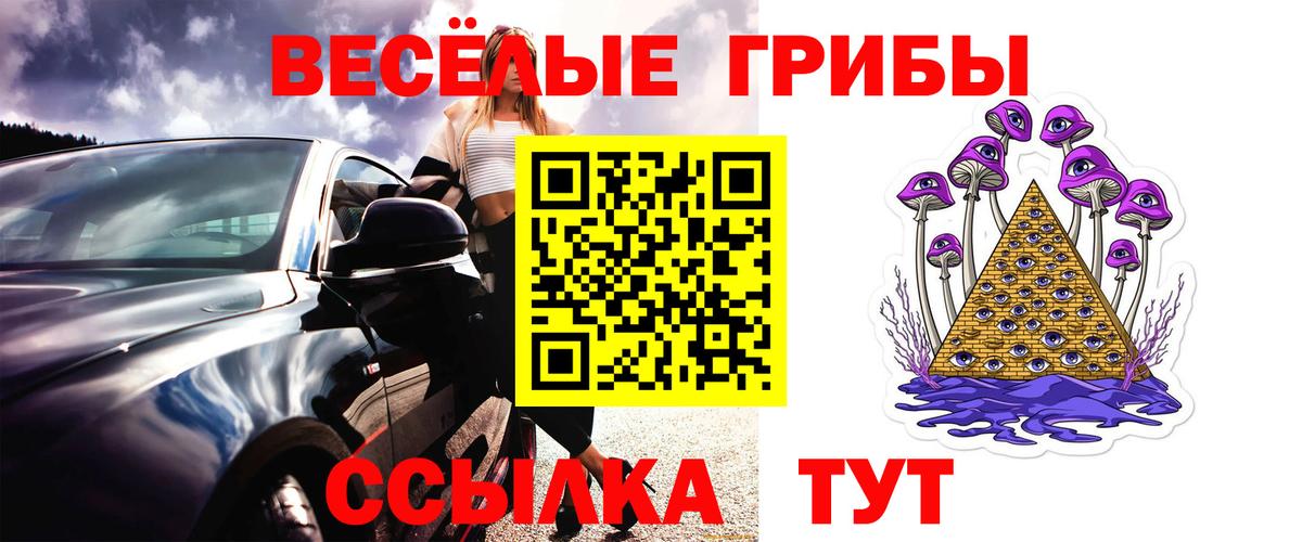 Псилоцибиновые грибы Psilocybine cubensis  Вход с VPN  продажа наркотиков  Галлюциногенные грибы ЛСД  Энгельс 